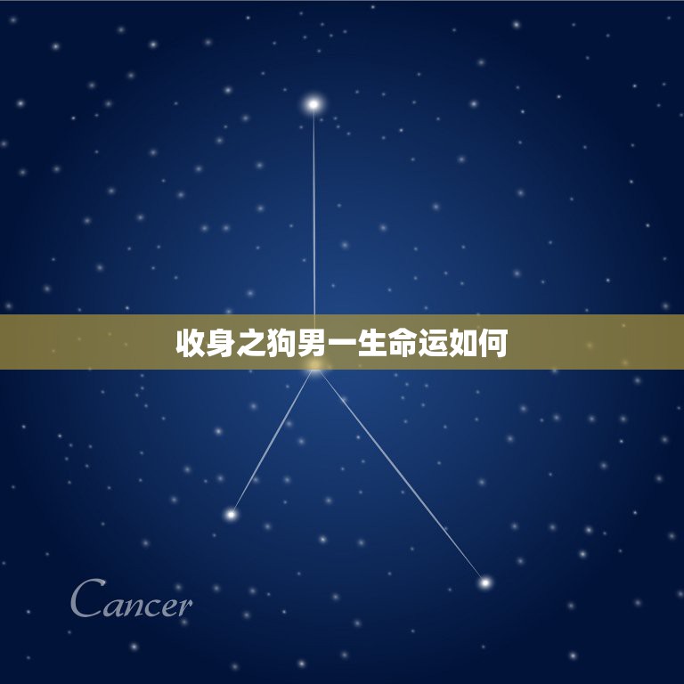 收身之狗男一生命运如何，1994年属狗是什么命1994年属狗运势怎么样  第1张