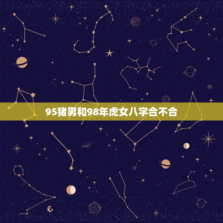 95猪男和98年虎女八字合不合，95年的猪男火命和98年的虎女土命在一  第1张