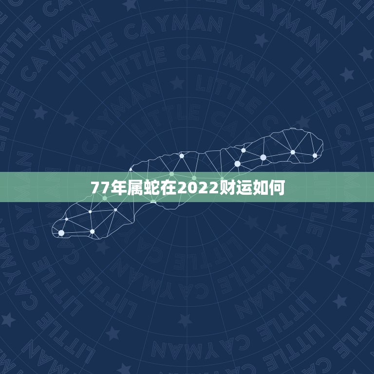 77年属蛇在2022财运如何  第1张