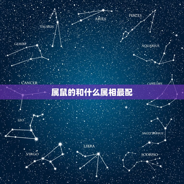 属鼠的和什么属相最配 96属鼠男最佳配偶  第1张