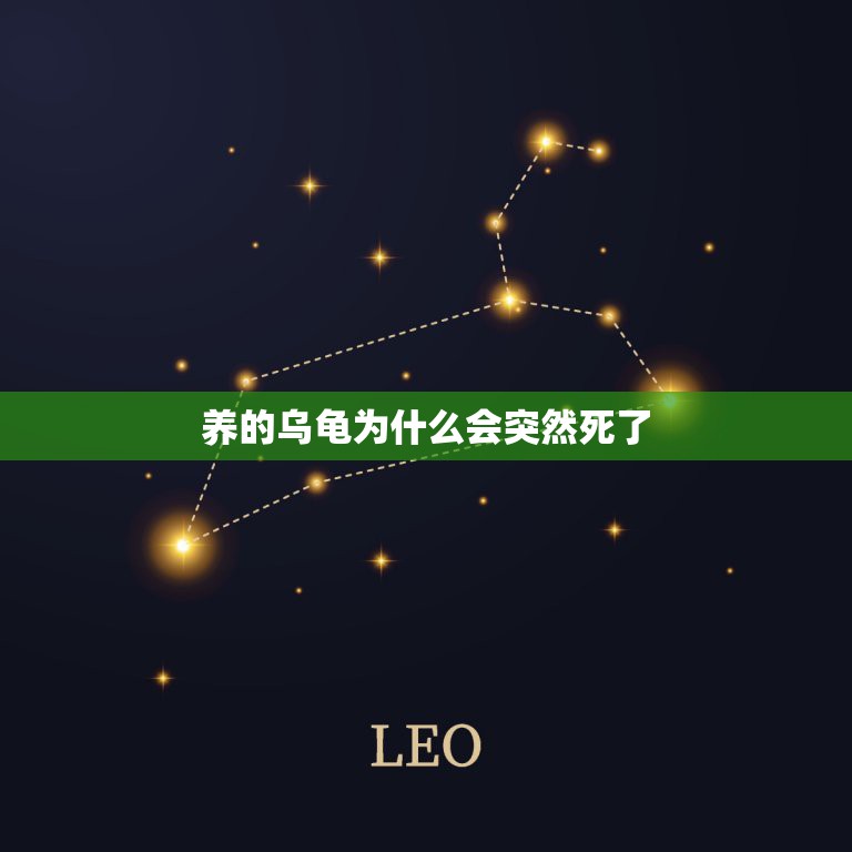 养的乌龟为什么会突然死了，养了3年的乌龟为什么突然死了？  第1张
