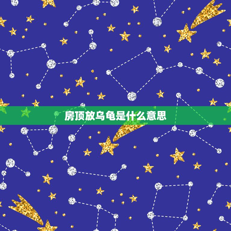 房顶放乌龟是什么意思，盖房子打地基时四角放活乌龟的说法是什么  第1张