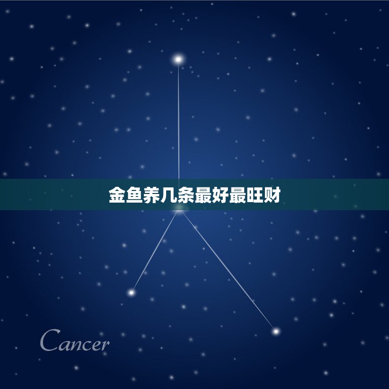 金鱼养几条最好最旺财，为什么养鱼要养单数？  第1张