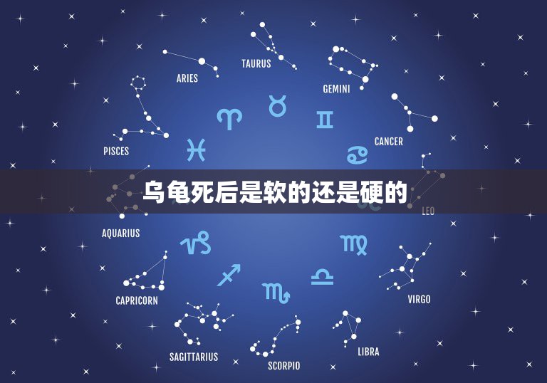 乌龟死后是软的还是硬的，乌龟死了为什么壳要软  第1张
