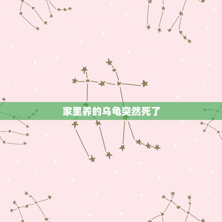 家里养的乌龟突然死了，家里养的小乌龟死了，这是怎么回事？  第1张