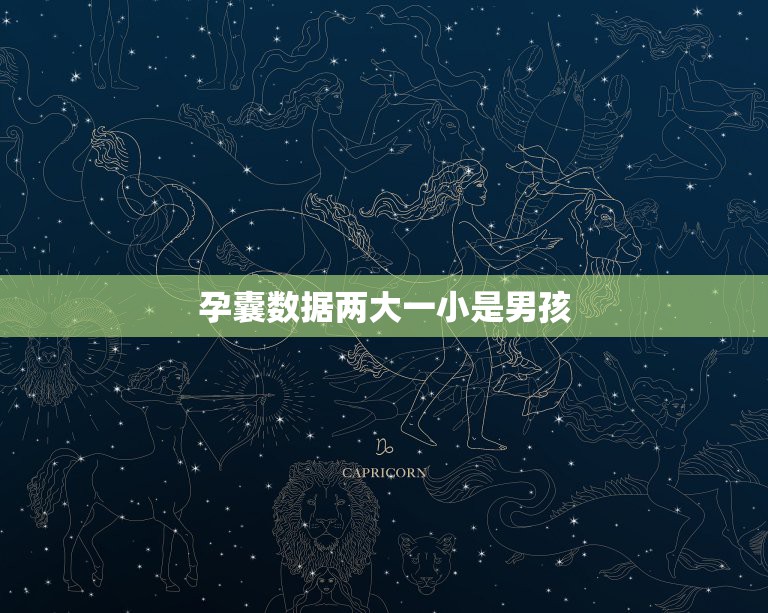 孕囊数据两大一小是男孩，孕囊大小17×23×9是男孩女孩  第1张