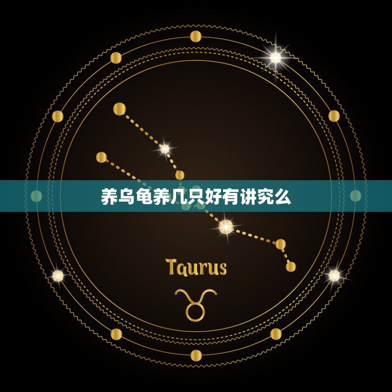 养乌龟养几只好有讲究么，乌龟养几只比较吉利  第1张
