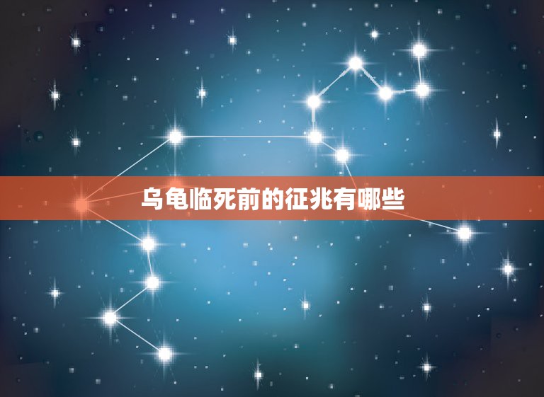 乌龟临死前的征兆有哪些，今天下雨刚才小乌龟突然死了， 上午的征兆老想爬  第1张