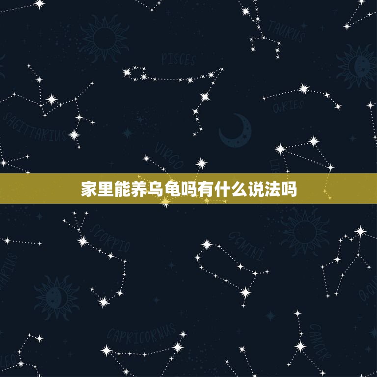 家里能养乌龟吗有什么说法吗，家里养乌龟有什么说法？吉利还是不吉利？  第1张
