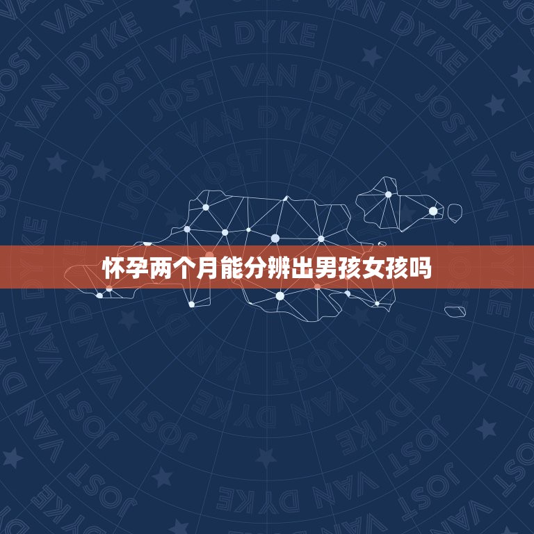 怀孕两个月能分辨出男孩女孩吗，怀孕辨别男女的方法有什么？  第1张
