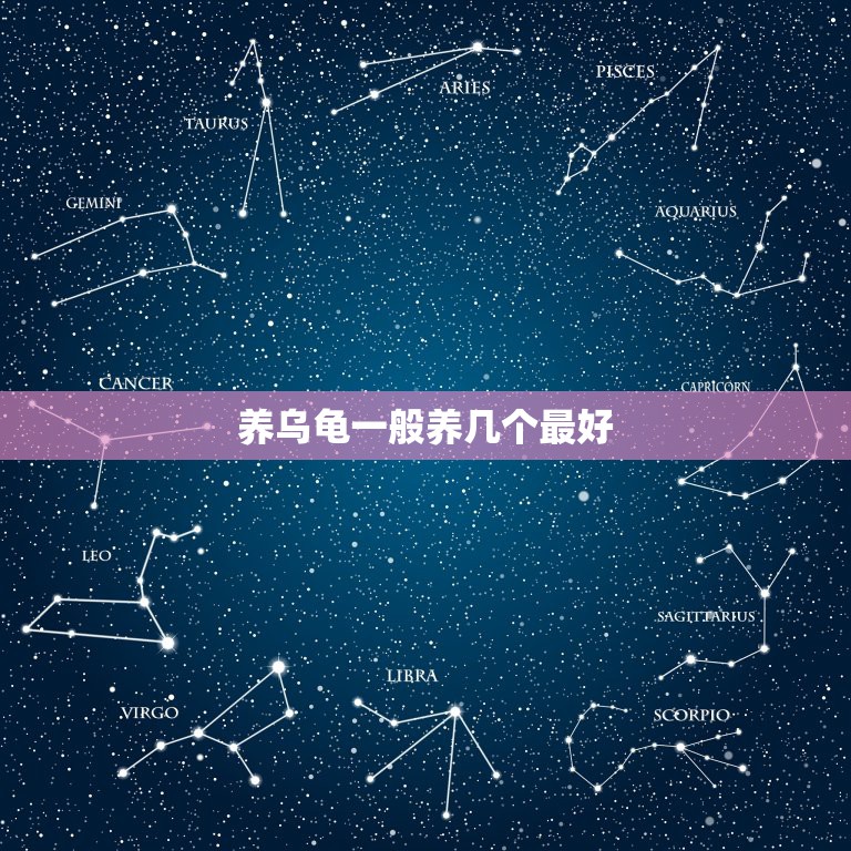 养乌龟一般养几个最好，养乌龟的技巧？养一只还是养两只好？  第1张