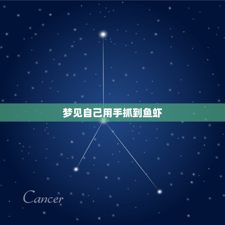 梦见自己用手抓到鱼虾，梦见自己在水里捉到许多鱼和虾是什么意思  第1张