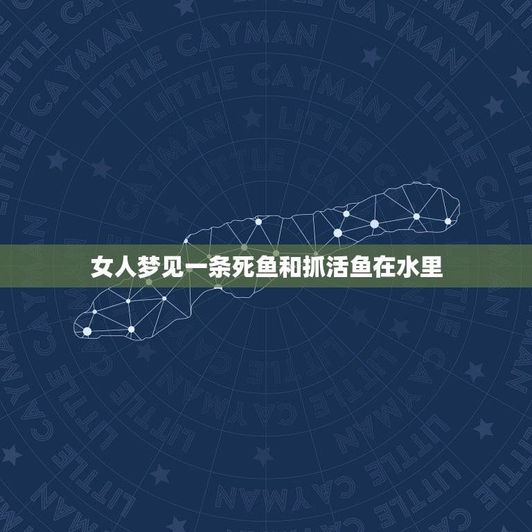 女人梦见一条死鱼和抓活鱼在水里，女人梦见捉鱼，水里有死鱼有活鱼，想捉一  第1张