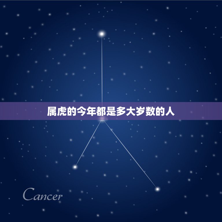 属虎的今年都是多大岁数的人，1998年属虎的人今年多大。  第1张