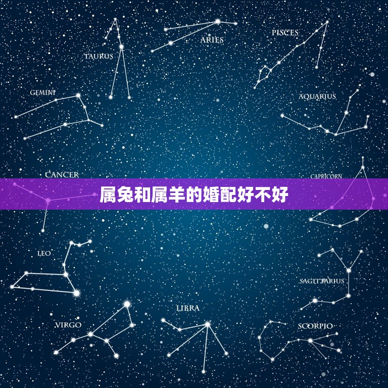 属兔和属羊的婚配好不好，属相婚配：男属兔和女属羊相配吗  第1张
