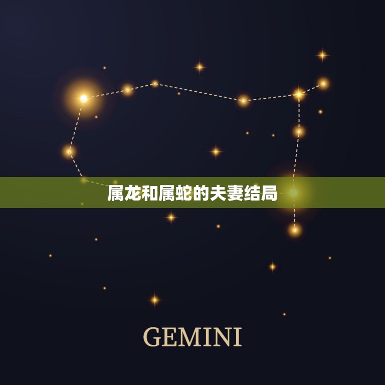 属龙和属蛇的夫妻结局，生肖属龙和生肖属蛇的婚配好吗  第1张