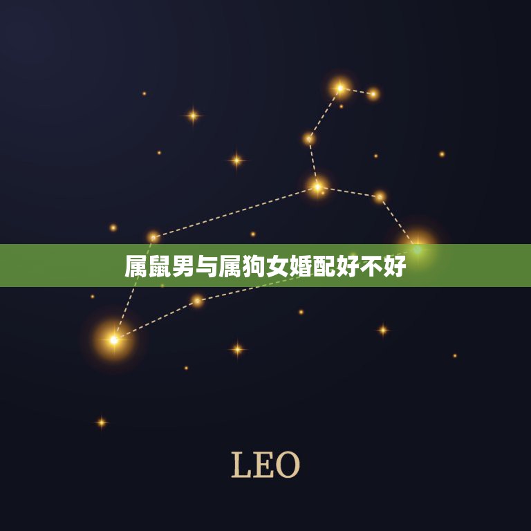 属鼠男与属狗女婚配好不好，属鼠男和属狗女相配吗？  第1张