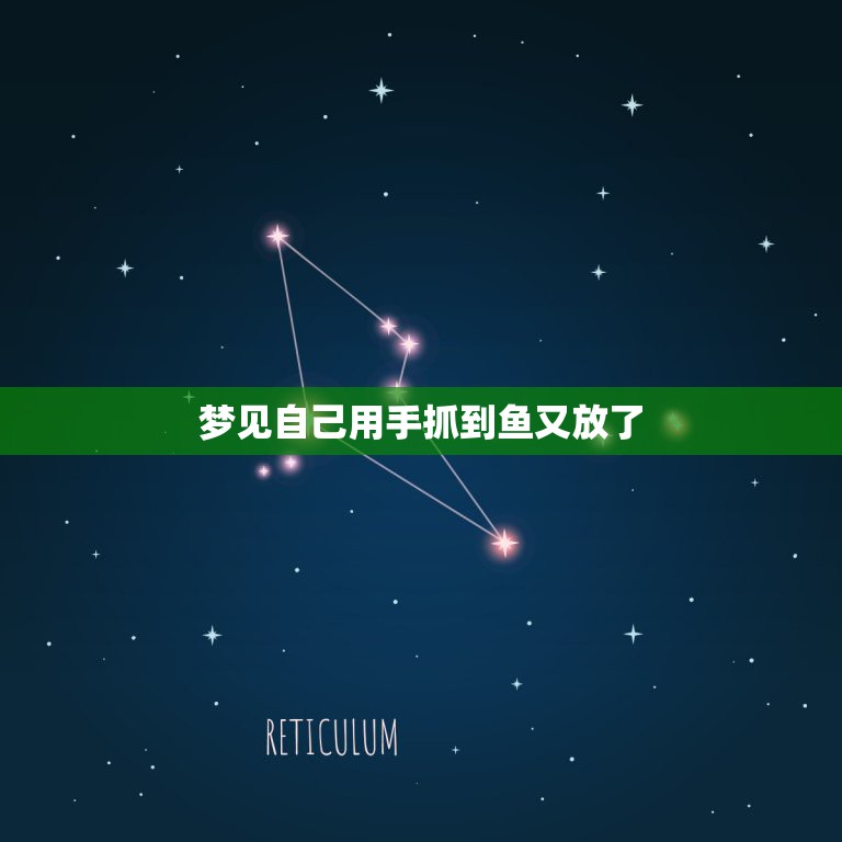 梦见自己用手抓到鱼又放了，已婚女人梦见抓好多鱼  第1张