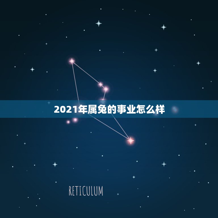 2021年属兔的事业怎么样，属兔2021年运势及运程每月运程  第1张
