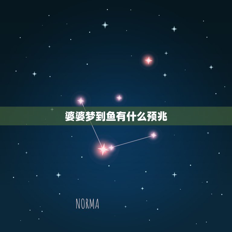 婆婆梦到鱼有什么预兆，婆婆梦到是什么意思  第1张