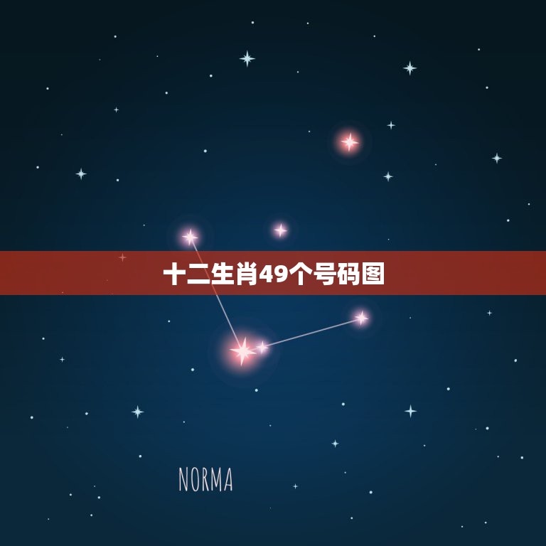 十二生肖49个号码图，十二生肖排列的49个号代表什么生肖  第1张