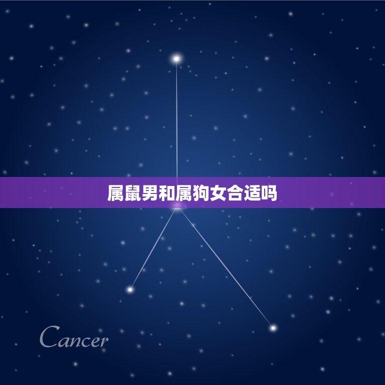 属鼠男和属狗女合适吗，属狗女和属鼠男婚配好吗？  第1张