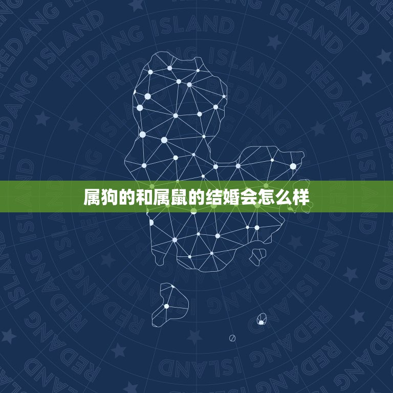 属狗的和属鼠的结婚会怎么样，属狗和属鼠相配吗  第1张