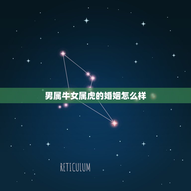 男属牛女属虎的婚姻怎么样，属牛和属虎的结婚好吗  第1张