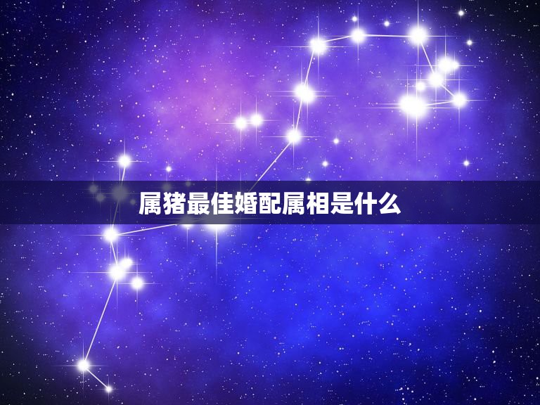 属猪最佳婚配属相是什么，属相婚配：男属兔和女属猪相配吗  第1张