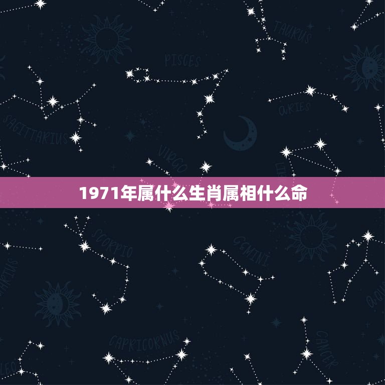 1971年属什么生肖属相什么命，1971年五行属什么  第1张