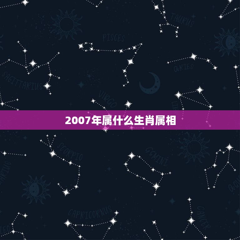 2007年属什么生肖属相，2007年属相是什么  第1张