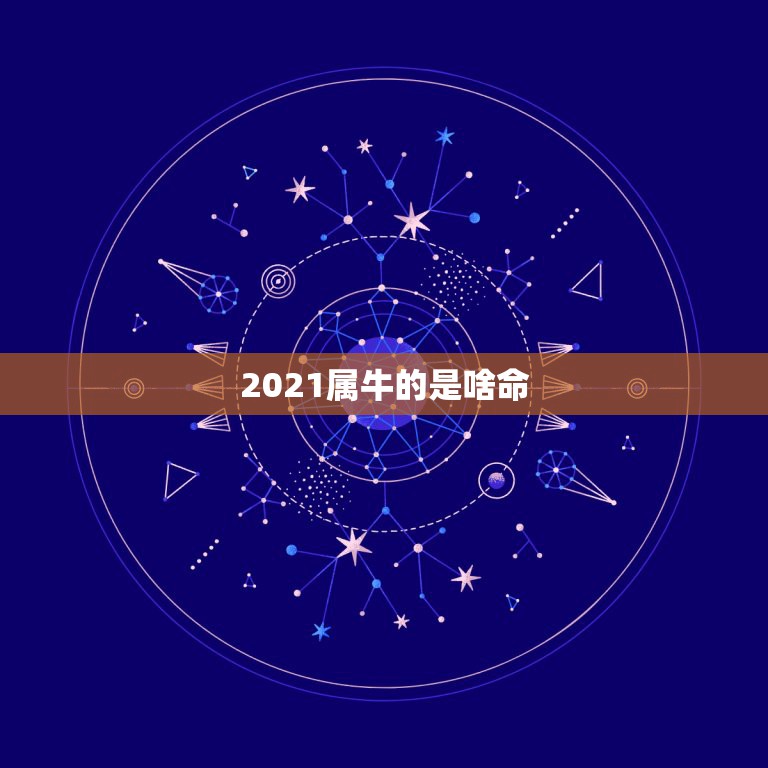 2021属牛的是啥命，2021年什么命  第1张
