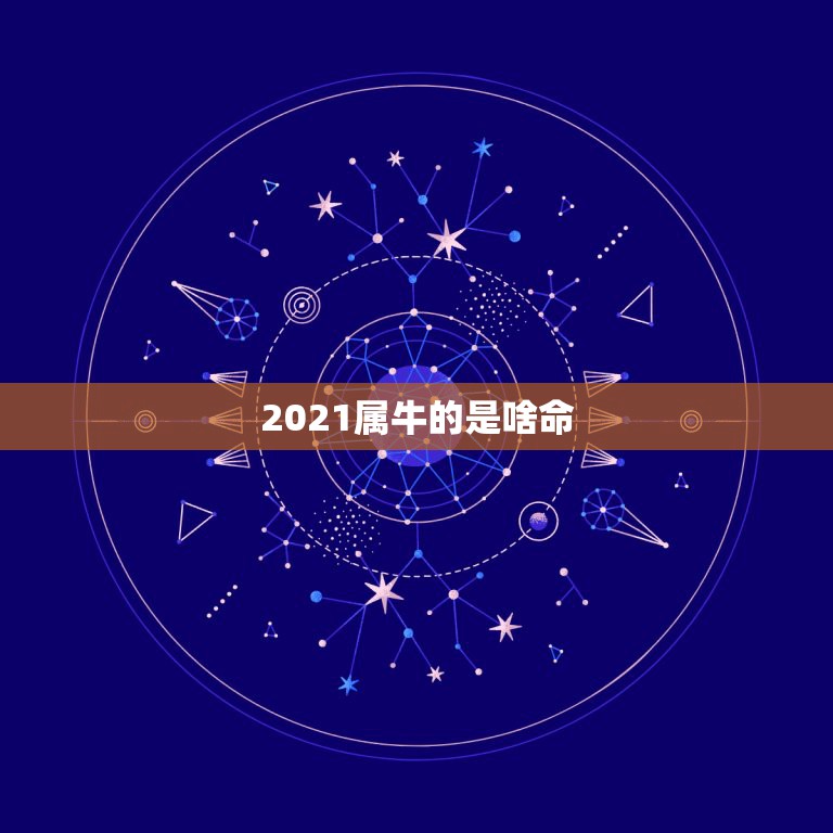 2021属牛的是啥命，2021年什么命