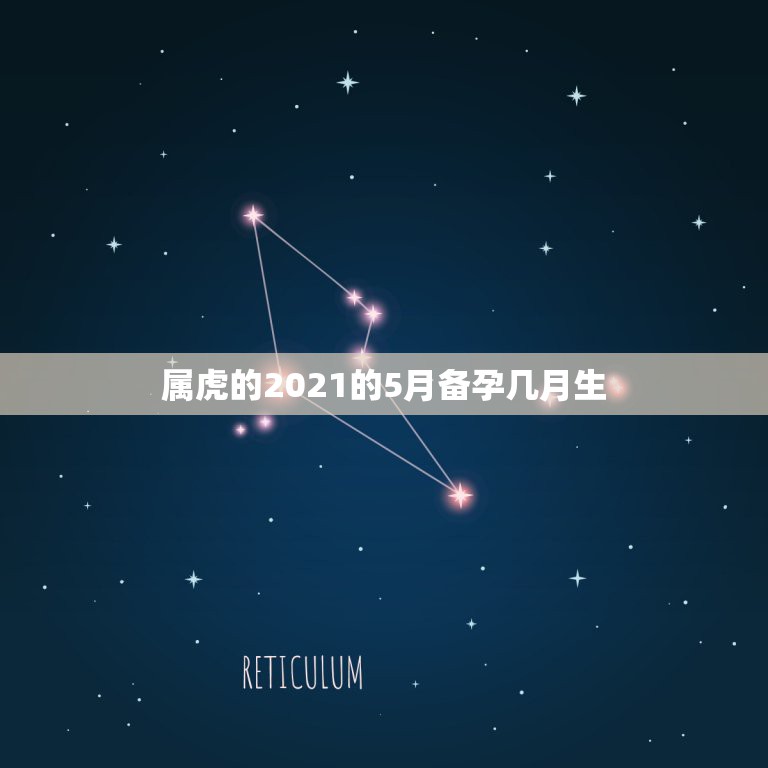 属虎的2021的5月备孕几月生，属虎几月出生好  第1张