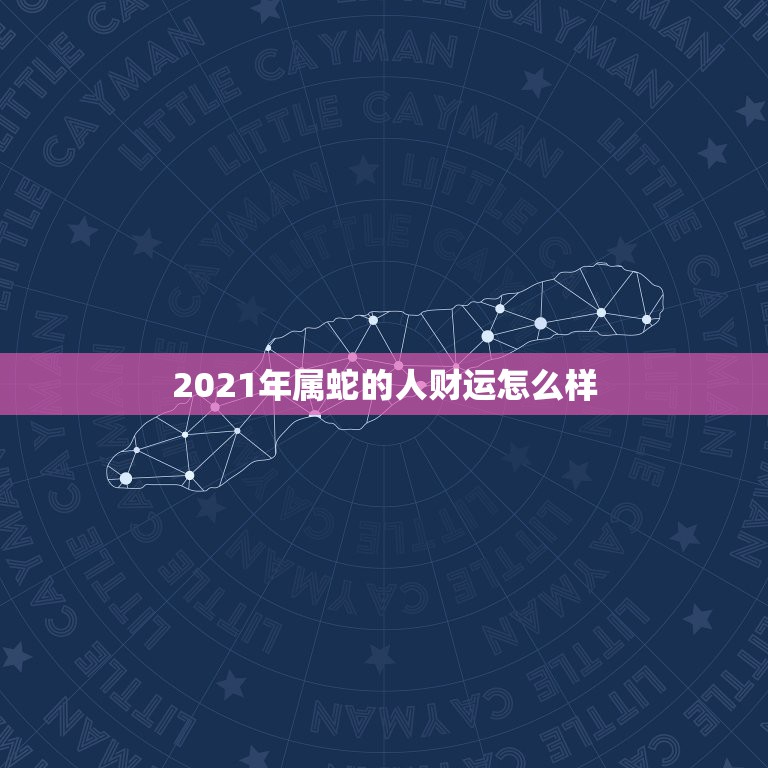 2021年属蛇的人财运怎么样，2021年蛇女的财运好不好  第1张