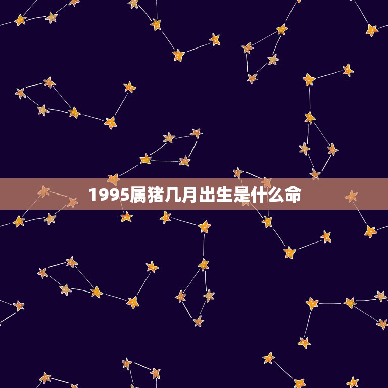 1995属猪几月出生是什么命，1995年属猪是什么命 1995年出生人  第1张