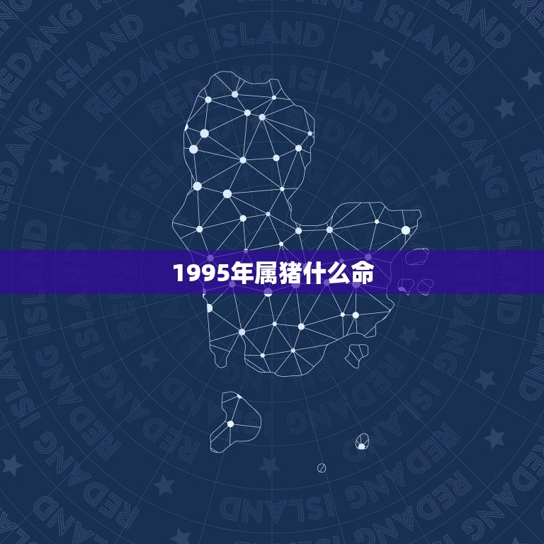 1995年属猪什么命，属猪的1995年是什么命  第1张