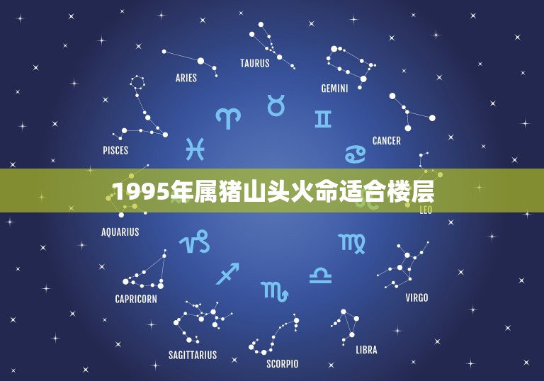 1995年属猪山头火命适合楼层，1995年属猪的火命人结婚住西屋好还是  第1张