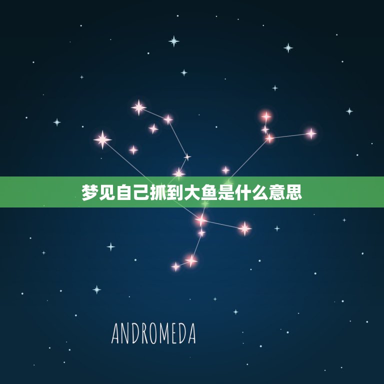 梦见自己抓到大鱼是什么意思，梦见捞大鱼是什么意思  第1张