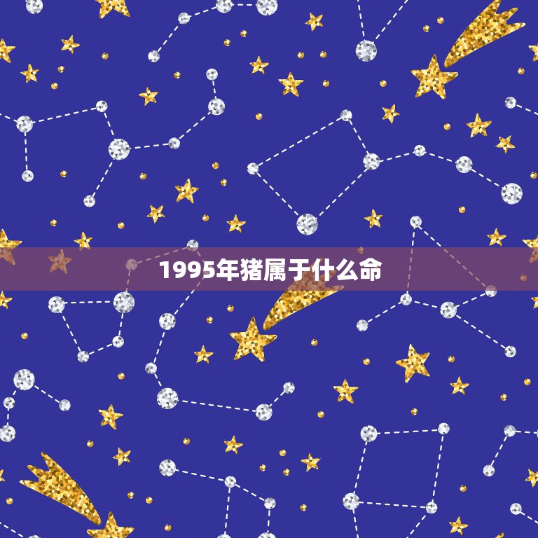 1995年猪属于什么命，1995年属猪的人是什么命