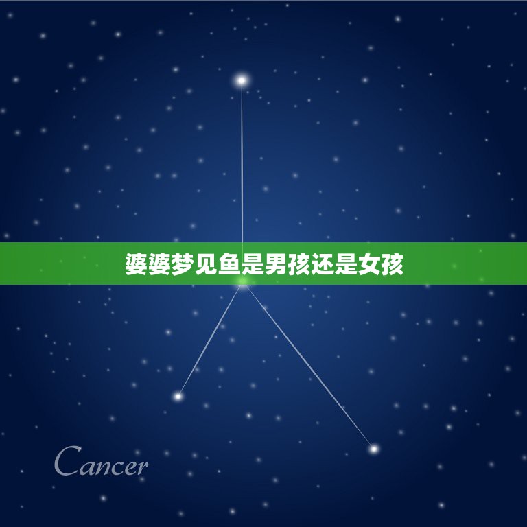 婆婆梦见鱼是男孩还是女孩，老公梦到鱼是怀男孩还是女孩  第1张