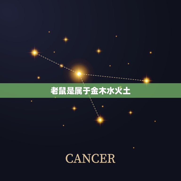 老鼠是属于金木水火土，属鼠的五行是什么  第1张