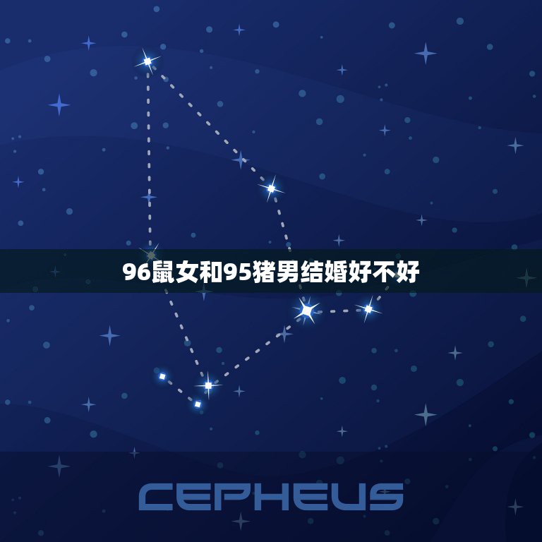 96鼠女和95猪男结婚好不好，95男猪96女鼠相配吗  第1张