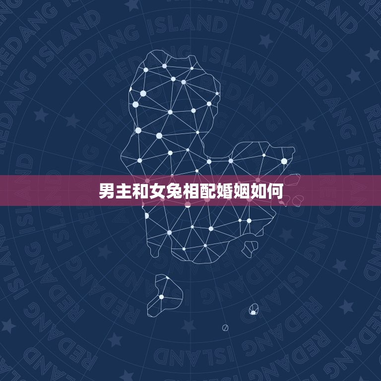 男主和女兔相配婚姻如何，属牛男和属兔女婚姻怎样  第1张