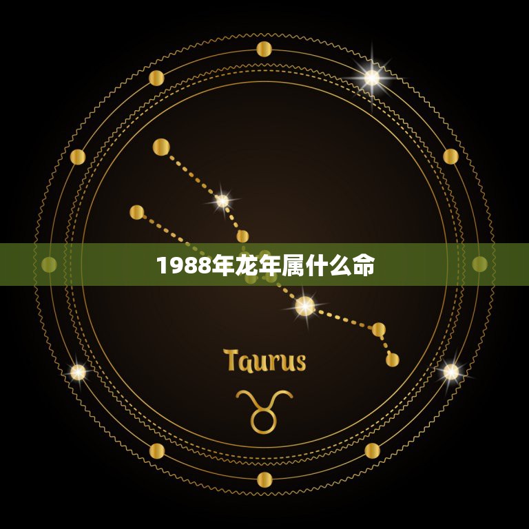 1988年龙年属什么命，1988年是什么命 1988年出生的属龙人20  第1张