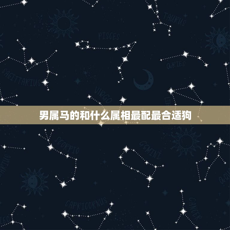 男属马的和什么属相最配最合适狗，男属马的和什么属相最配可以吗蛇  第1张