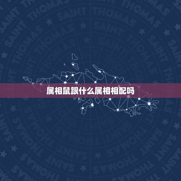 属相鼠跟什么属相相配吗，属鼠和什么属相最配，属鼠和什么属相最不配  第1张
