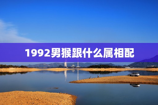 1992男猴跟什么属相配，92年属猴的喝和什么属相配  第1张