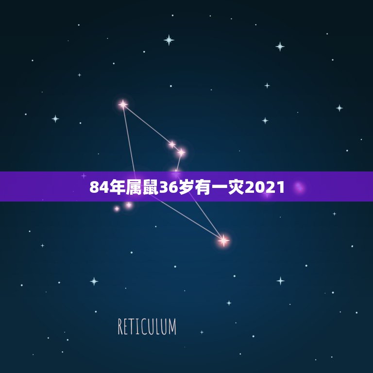 84年属鼠36岁有一灾2021，2021年属鼠人的全年运势1984出生  第1张