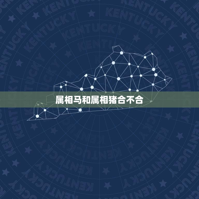 属相马和属相猪合不合，属猪的人和属马的人合不合  第1张